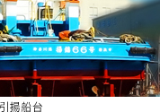 gD